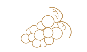 Dried fruits