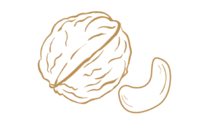 Nuts