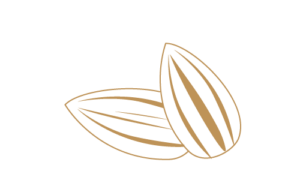 Seeds